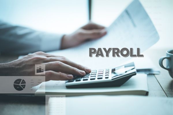 professional payroll service